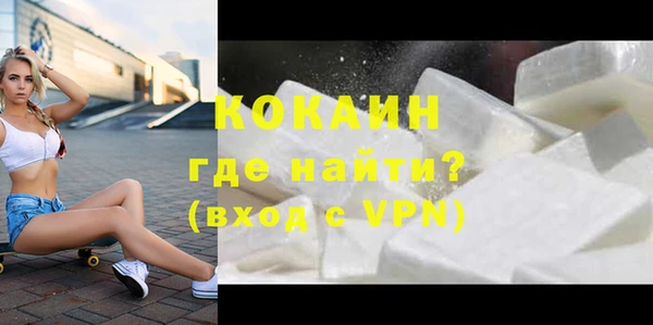 дживик Богородск