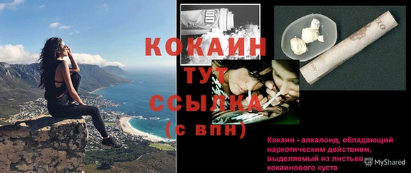 дживик Богородск