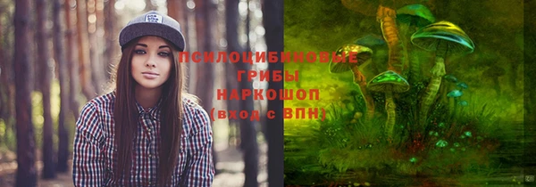 дживик Богородск