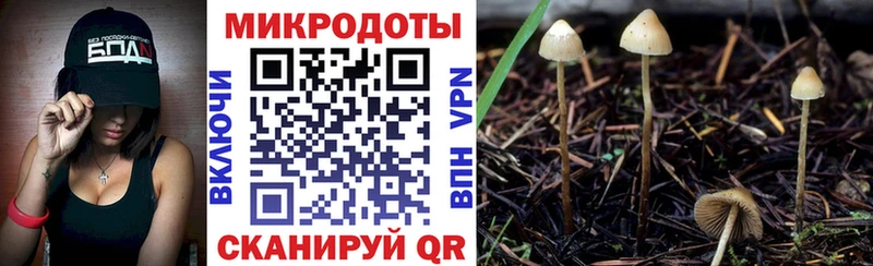 Галлюциногенные грибы мухоморы  дарнет шоп  Яровое 